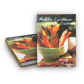 Modern Caribbean Cuisine - Hardcover